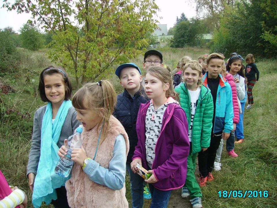 Jesienny spacer do lasu klasy IIIC.  Pomiary drzew. — zdjęcie 4