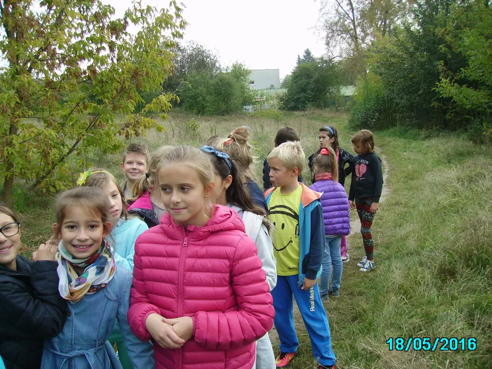 Jesienny spacer do lasu klasy IIIC.  Pomiary drzew. — zdjęcie 5