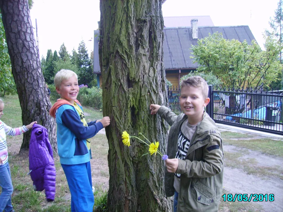Jesienny spacer do lasu klasy IIIC.  Pomiary drzew. — zdjęcie 11