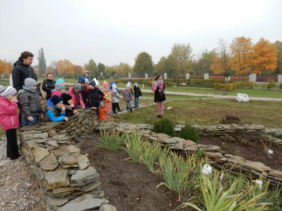 Klasa Oa w Ogrodzie Botanicznym — zdjęcie 3