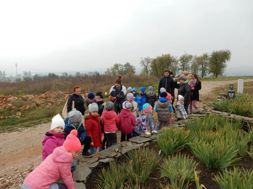 Klasa Oa w Ogrodzie Botanicznym — zdjęcie 6
