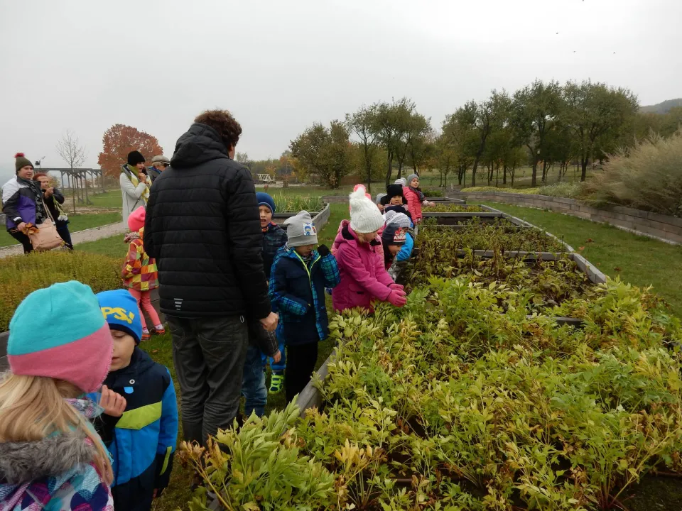 Klasa Oa w Ogrodzie Botanicznym — zdjęcie 8