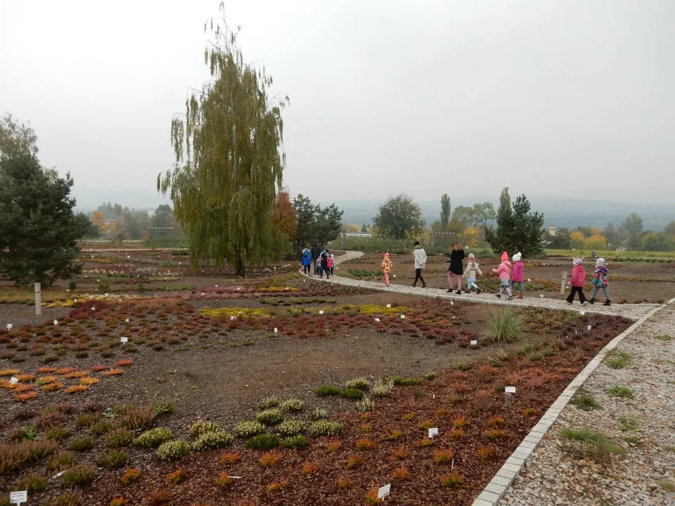 Klasa Oa w Ogrodzie Botanicznym — zdjęcie 13