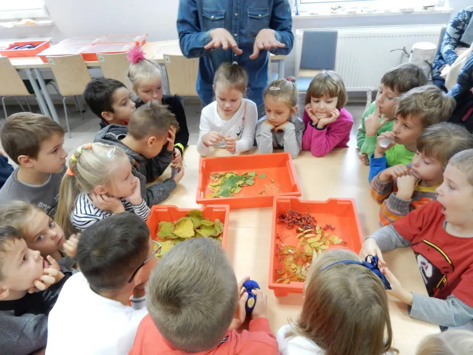 Klasa Oa w Ogrodzie Botanicznym — zdjęcie 18