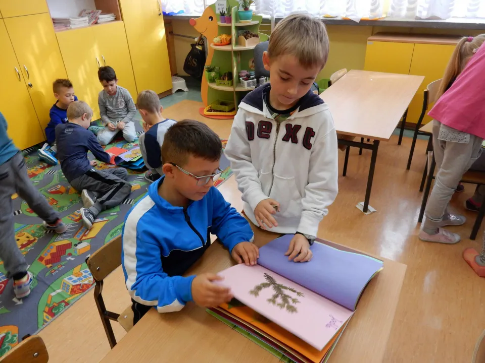 Zaproszenie od klasy 2D — zdjęcie 8