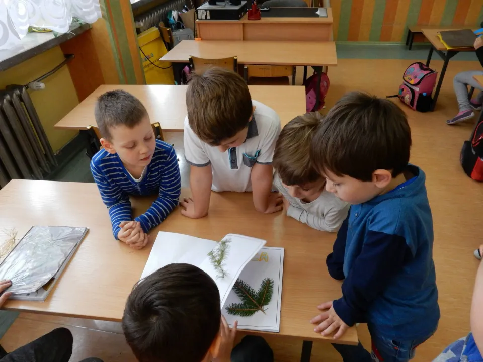 Zaproszenie od klasy 2D — zdjęcie 11