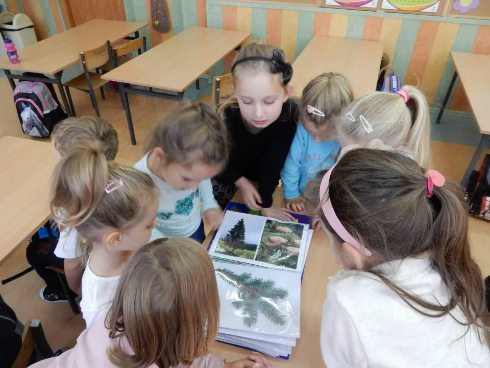 Zaproszenie od klasy 2D — zdjęcie 12