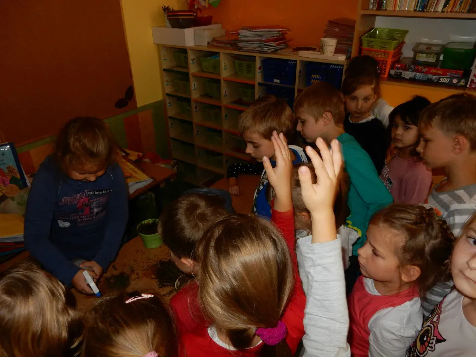 Zaproszenie od klasy 2D — zdjęcie 20