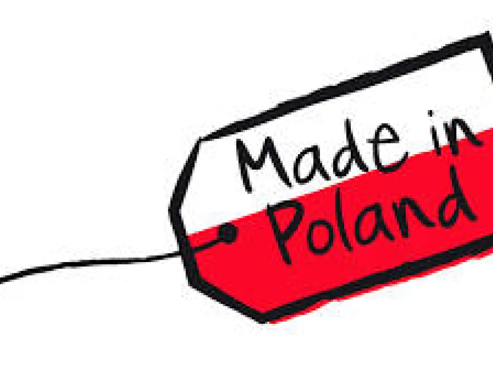 Wielcy Polacy — zdjęcie 11