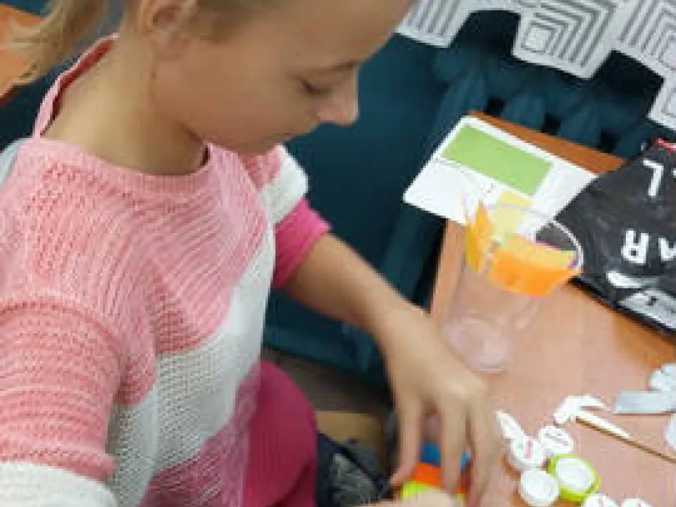 "Recyklingowe" strusie — zdjęcie 32