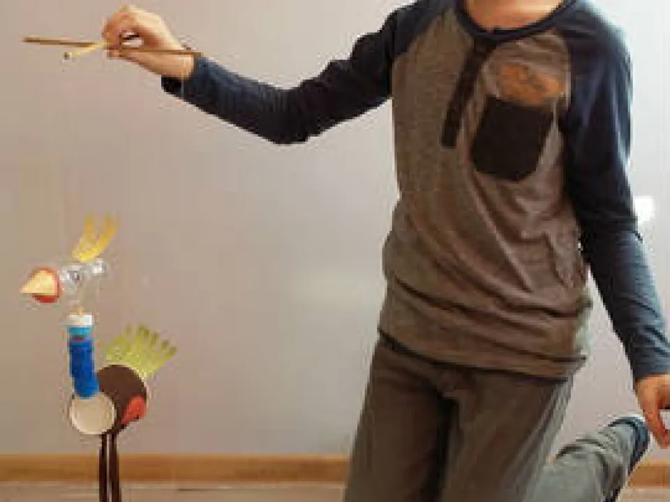 "Recyklingowe" strusie — zdjęcie 40