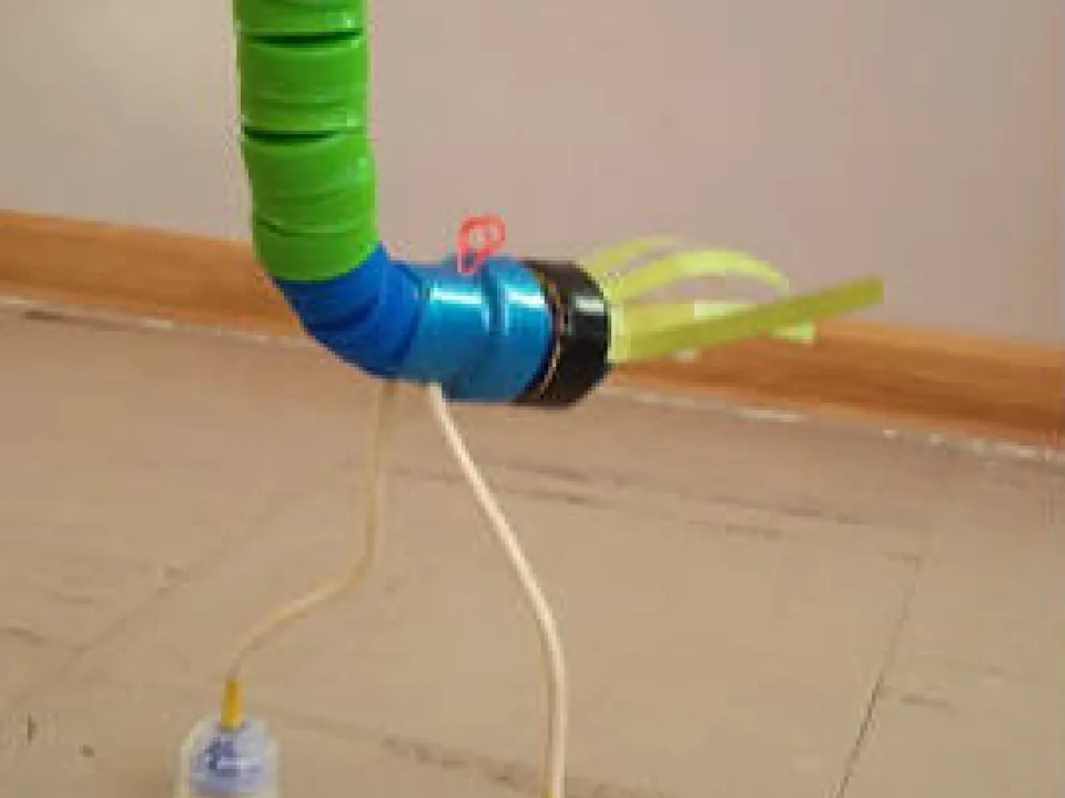 "Recyklingowe" strusie — zdjęcie 47