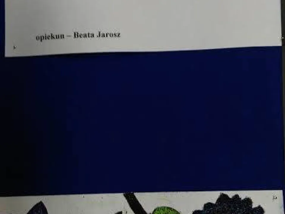 Kompozycja barwna — zdjęcie 8