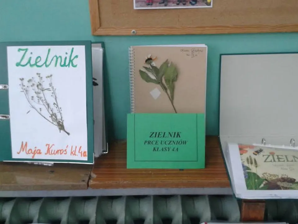 Zielnik — zdjęcie 2