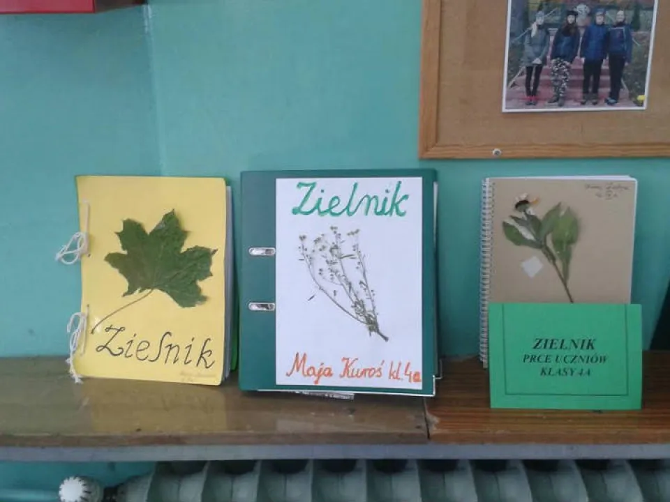 Zielnik — zdjęcie 3