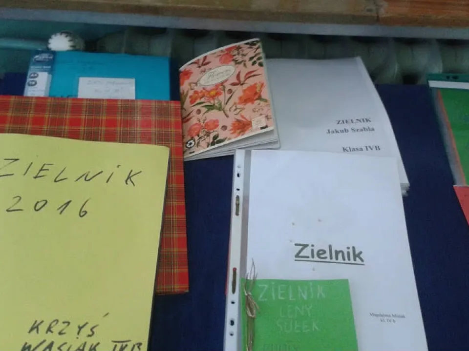 Zielnik — zdjęcie 9