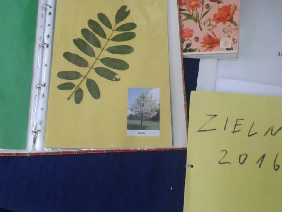 Zielnik — zdjęcie 12