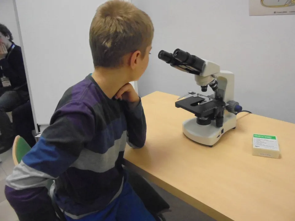 Zajęcia przyrodnicze w Ogrodzie Botanicznym – kl. 3 a — zdjęcie 5