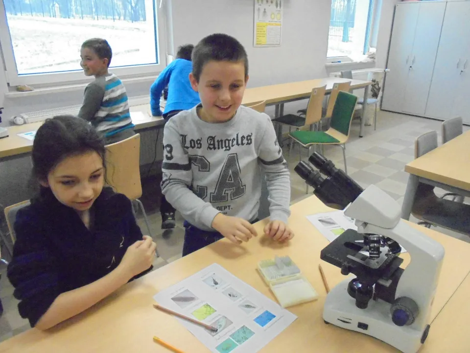 Zajęcia przyrodnicze w Ogrodzie Botanicznym – kl. 3 a — zdjęcie 10