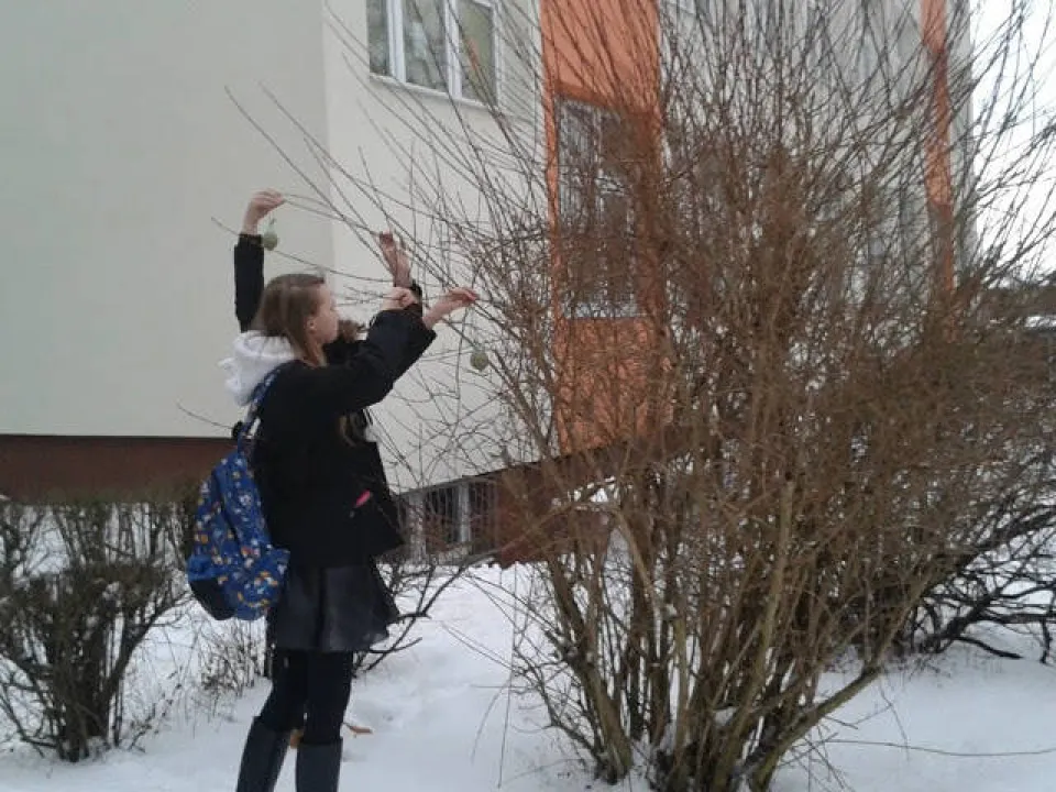 Dokarmiamy ptaki — zdjęcie 3