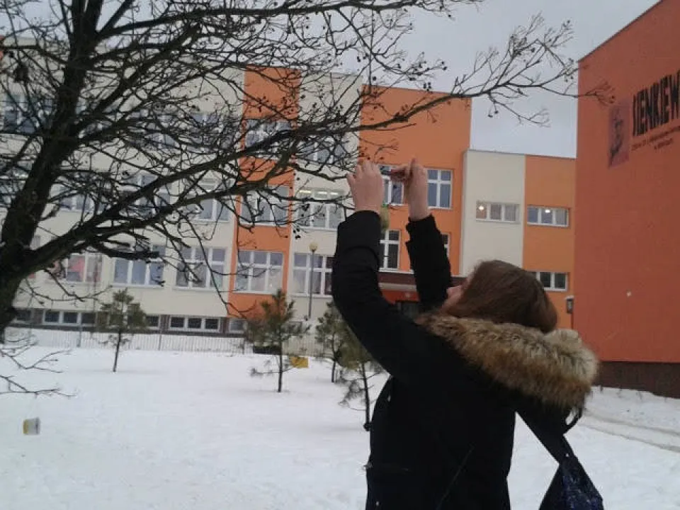 Dokarmiamy ptaki — zdjęcie 4