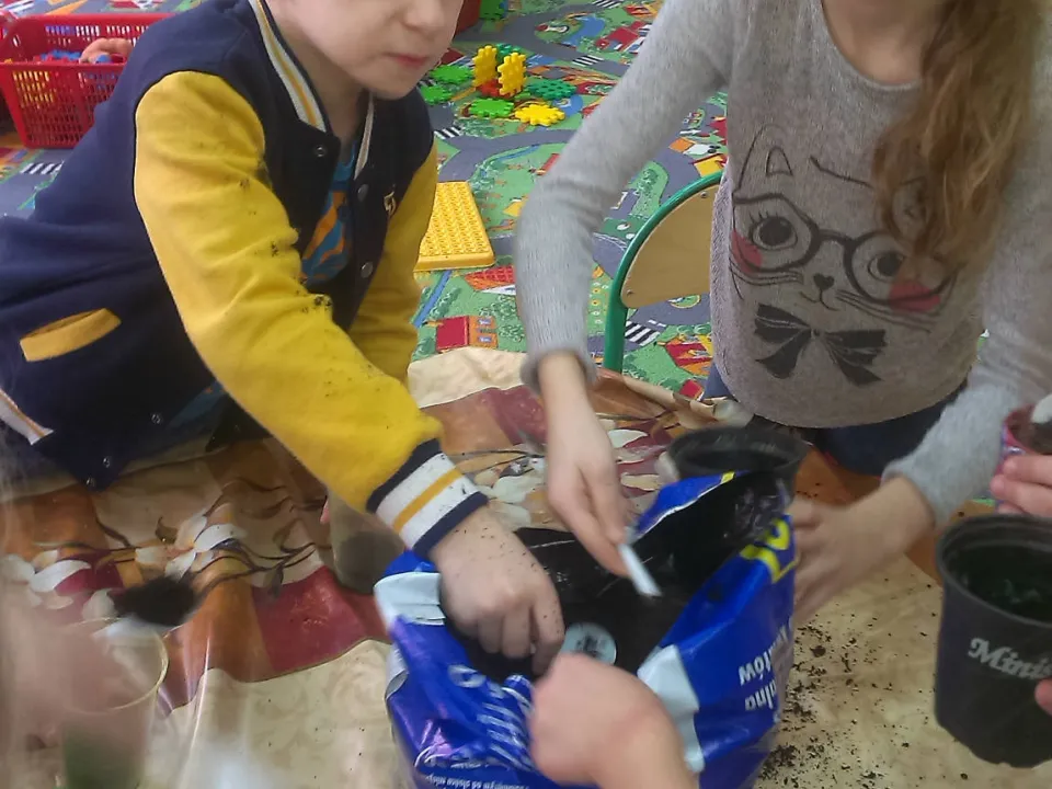 Wiosenna świetlica — zdjęcie 6