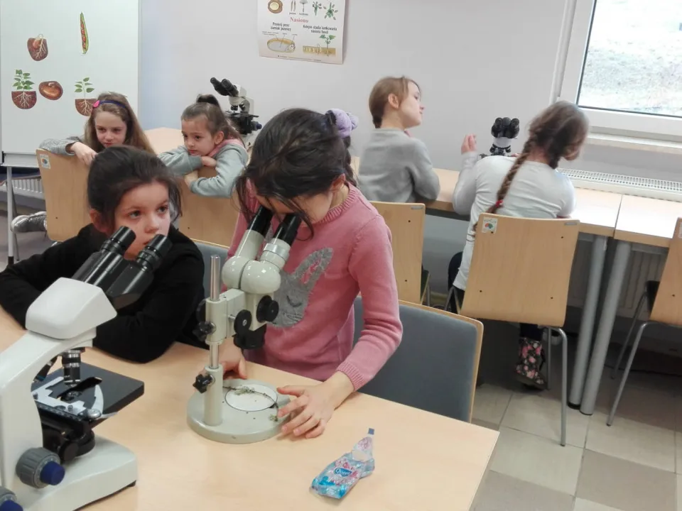 Klasa IIId w Ogrodzie Botanicznym. — zdjęcie 5