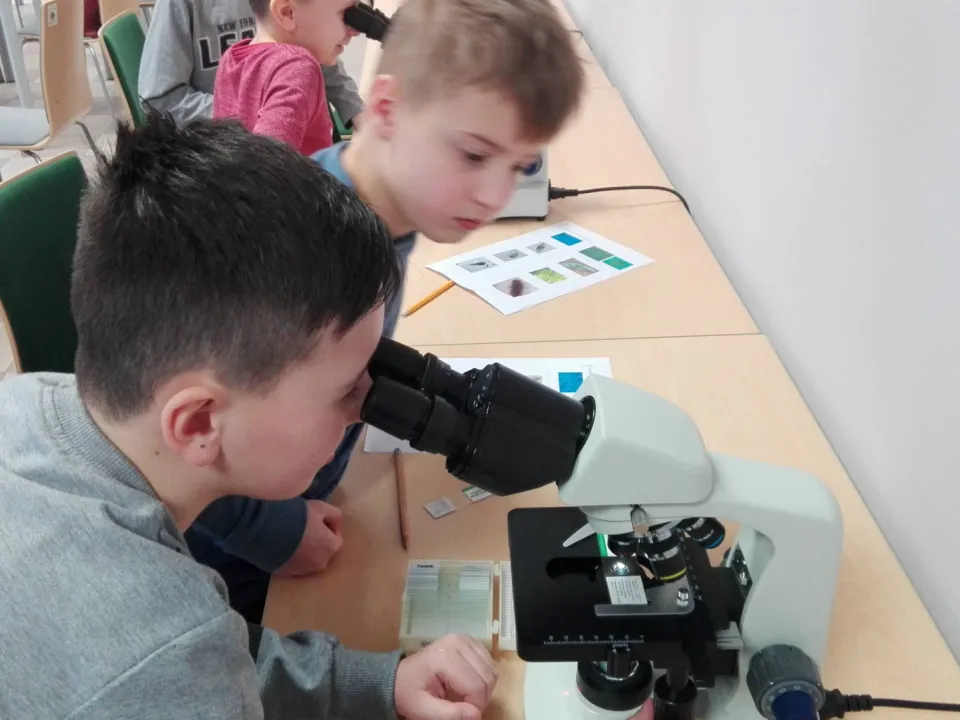 Klasa IIId w Ogrodzie Botanicznym. — zdjęcie 15
