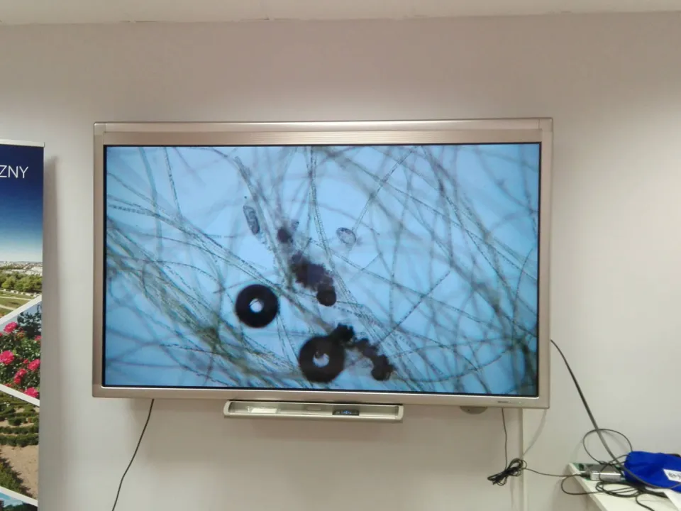 Klasa IIId w Ogrodzie Botanicznym. — zdjęcie 19