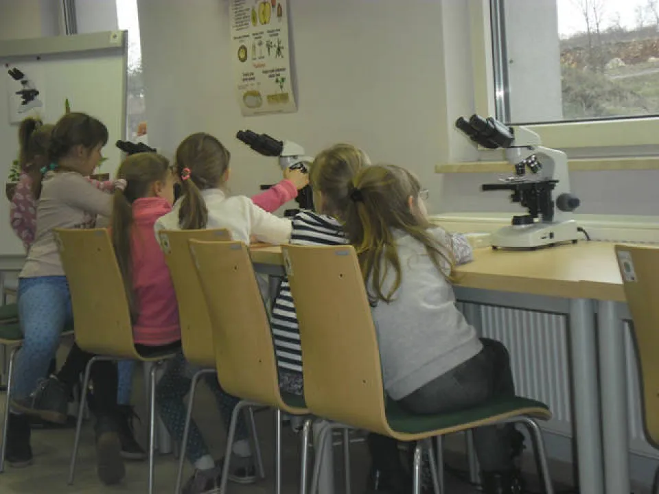 klasa 2 c w ogrodzie botanicznym — zdjęcie 9