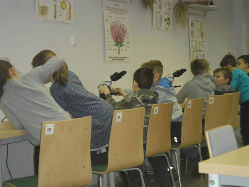 klasa 2 c w ogrodzie botanicznym — zdjęcie 10