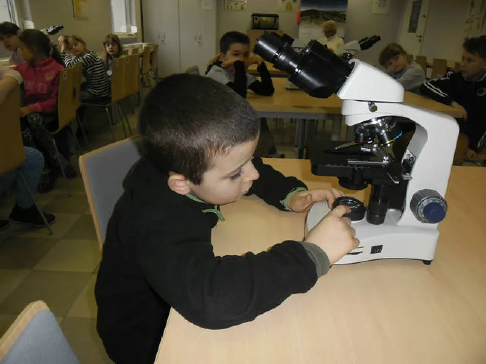 klasa 2 c w ogrodzie botanicznym — zdjęcie 11