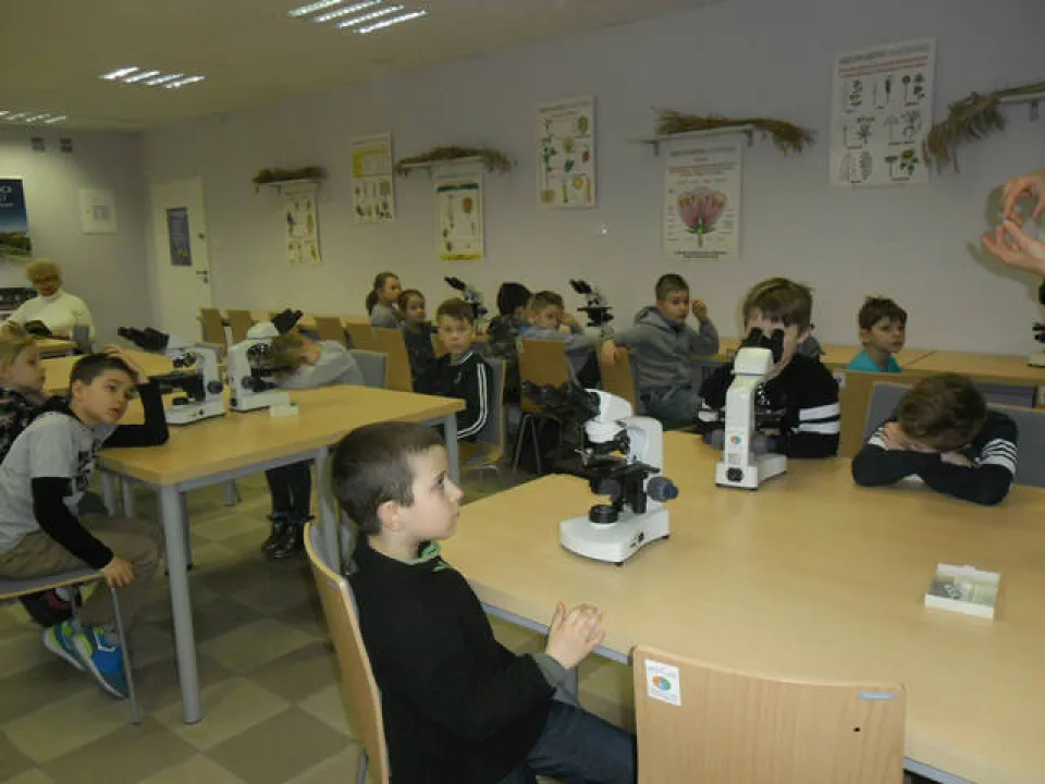 klasa 2 c w ogrodzie botanicznym — zdjęcie 18