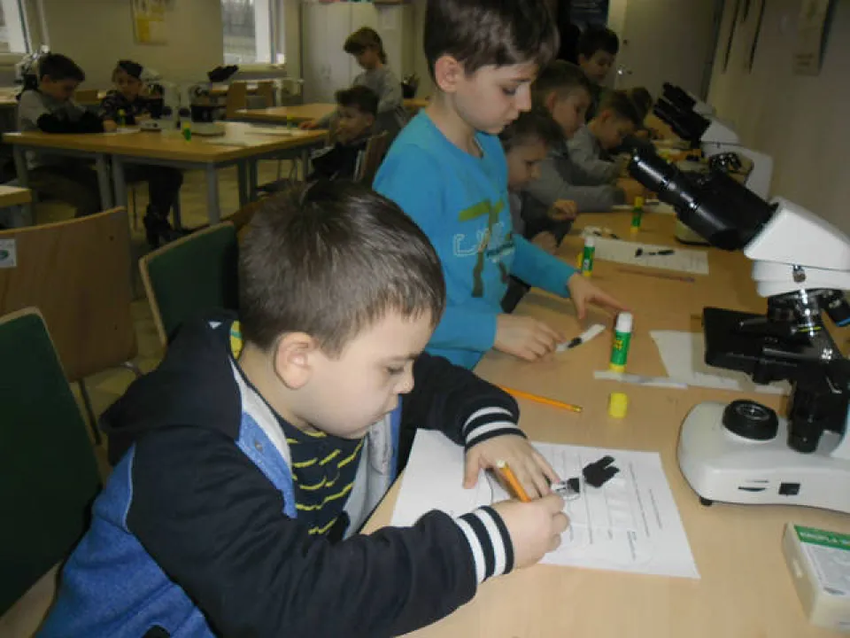 klasa 2 c w ogrodzie botanicznym — zdjęcie 26