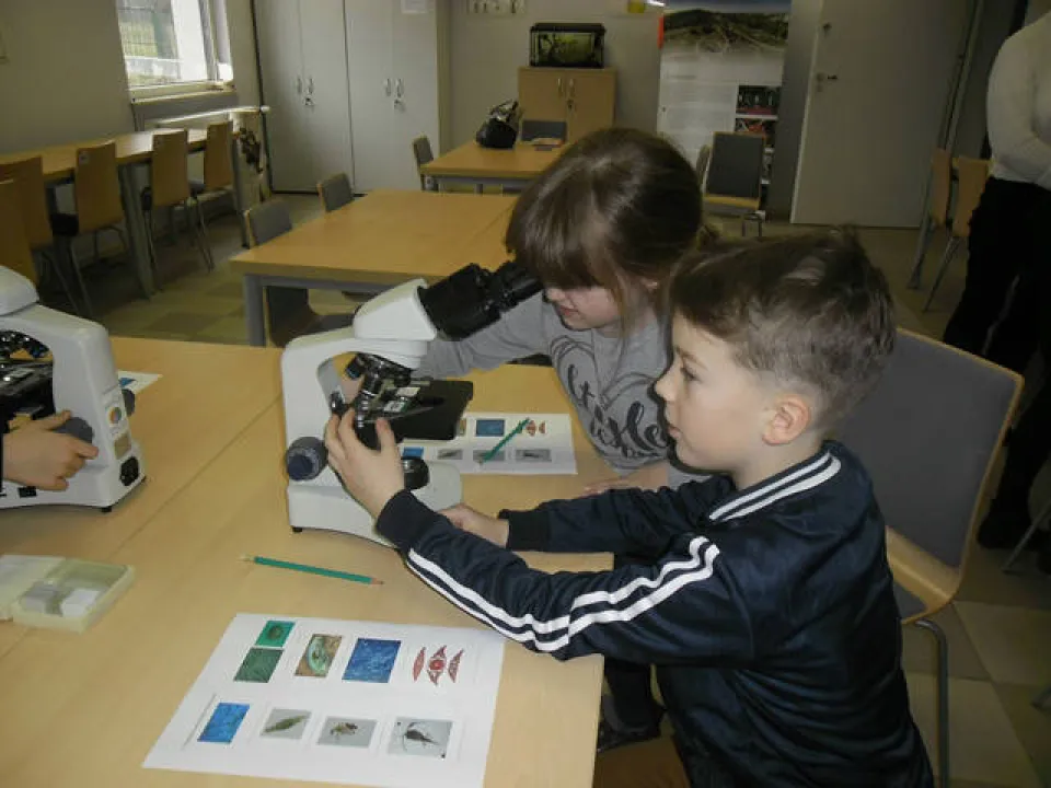 klasa 2 c w ogrodzie botanicznym — zdjęcie 27