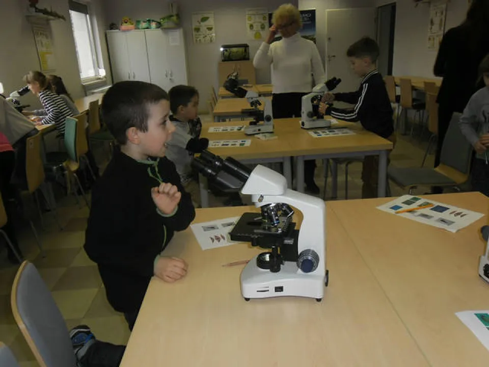 klasa 2 c w ogrodzie botanicznym — zdjęcie 31