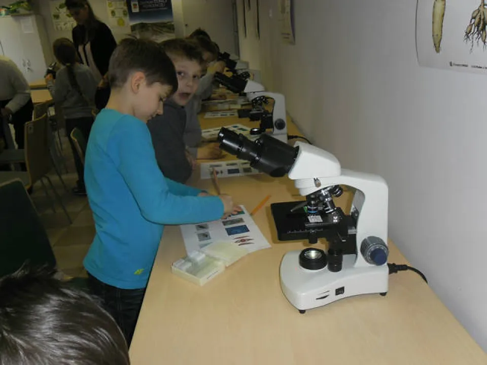 klasa 2 c w ogrodzie botanicznym — zdjęcie 32