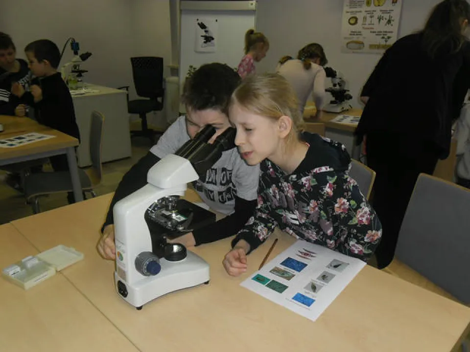 klasa 2 c w ogrodzie botanicznym — zdjęcie 34