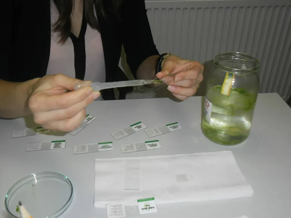 klasa 2 c w ogrodzie botanicznym — zdjęcie 45