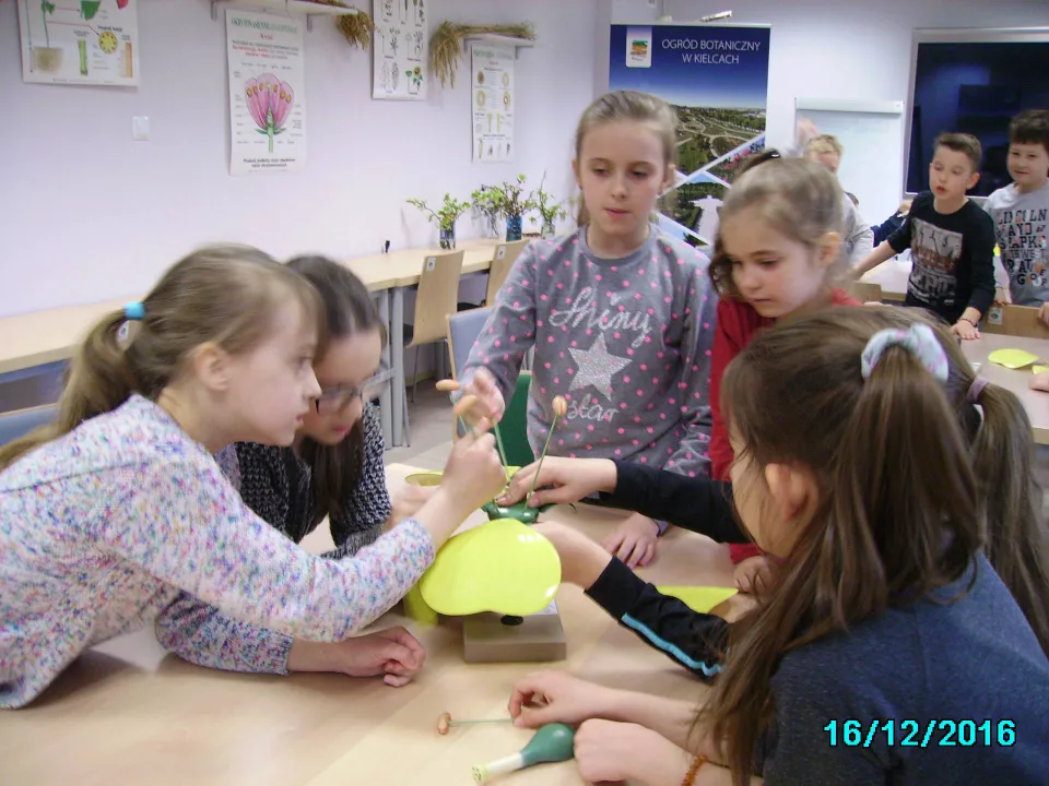 „Dla kogo kwitną kwiaty?” z klasą III C w Ogrodzie Botanicznym w Kielcach. — zdjęcie 9
