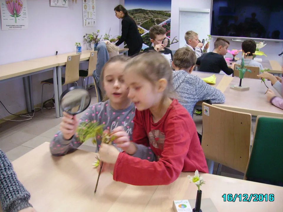 „Dla kogo kwitną kwiaty?” z klasą III C w Ogrodzie Botanicznym w Kielcach. — zdjęcie 15