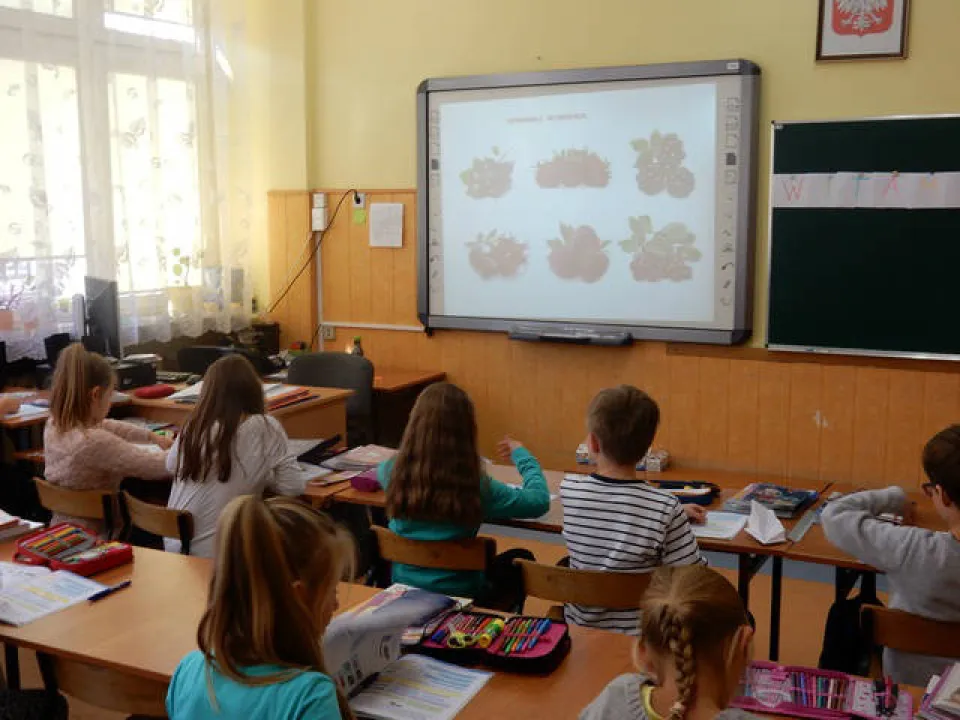 "Pora na pomidora" w IIIa — zdjęcie 15