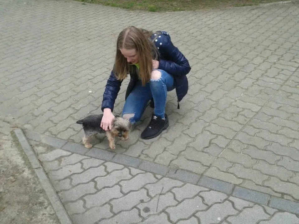 Sprzataj po swoim pupilu — zdjęcie 12