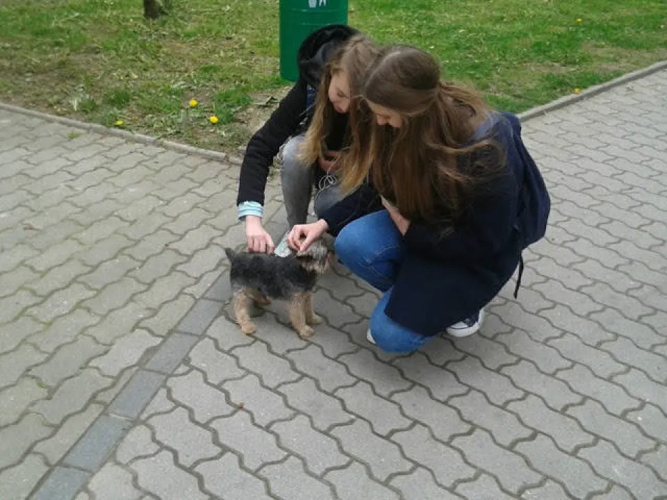 Sprzataj po swoim pupilu — zdjęcie 13