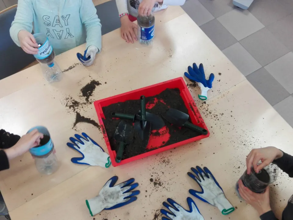IIID sadzi kwiaty w Ogrodzie Botanicznym — zdjęcie 12