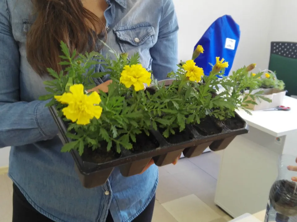 IIID sadzi kwiaty w Ogrodzie Botanicznym — zdjęcie 13