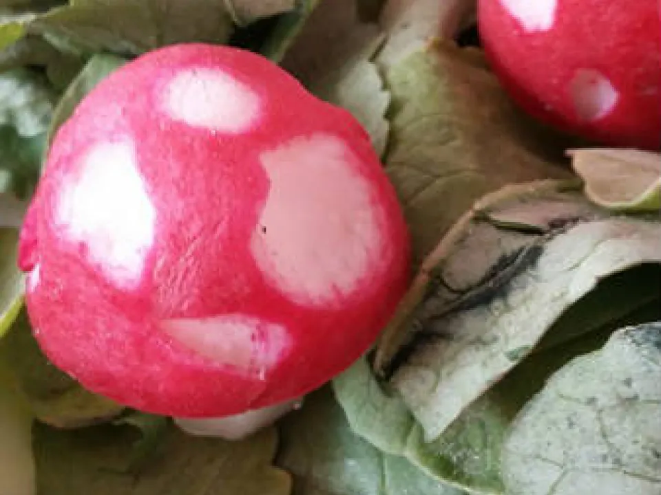 Food Art klas 6 — zdjęcie 26