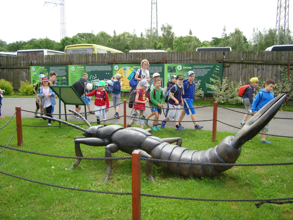 Zielona — zdjęcie 10