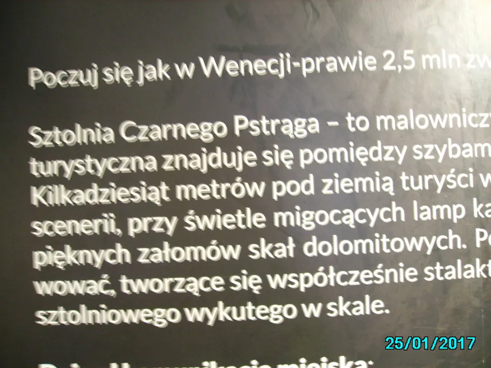 Klasa III C na Zielonej Szkole na Szlaku Orlich Gniazd. — zdjęcie 18