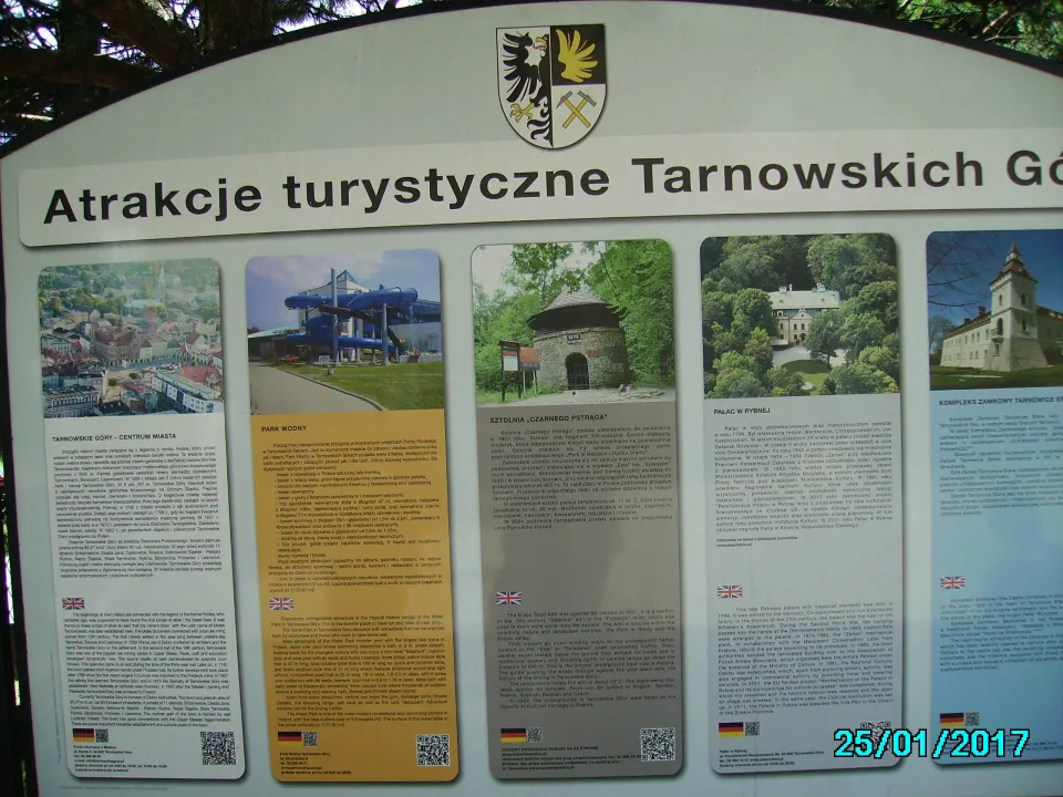 Klasa III C na Zielonej Szkole na Szlaku Orlich Gniazd. — zdjęcie 19